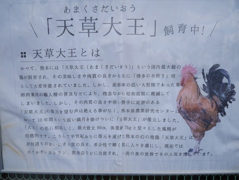 天草大王