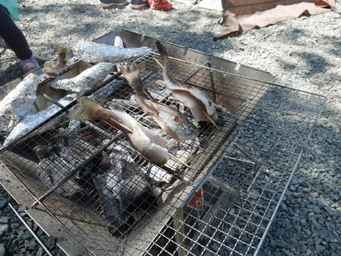 焼き魚
