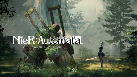 nierautomata