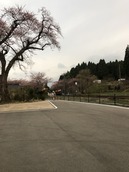 IMG_6867