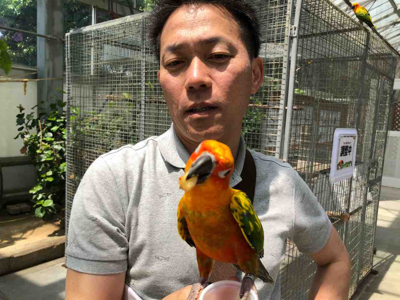 掛川花鳥園でハシビロコウさんに会うの旅 Omc銀河を買う事にした