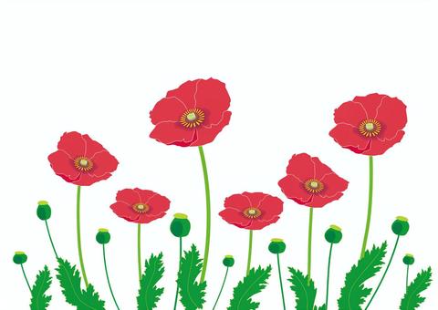 生花店で違法なケシ販売 ポピーと誤認 青森県が連絡呼び掛け デーリー東北 農業ニュースまとめ のまとめ