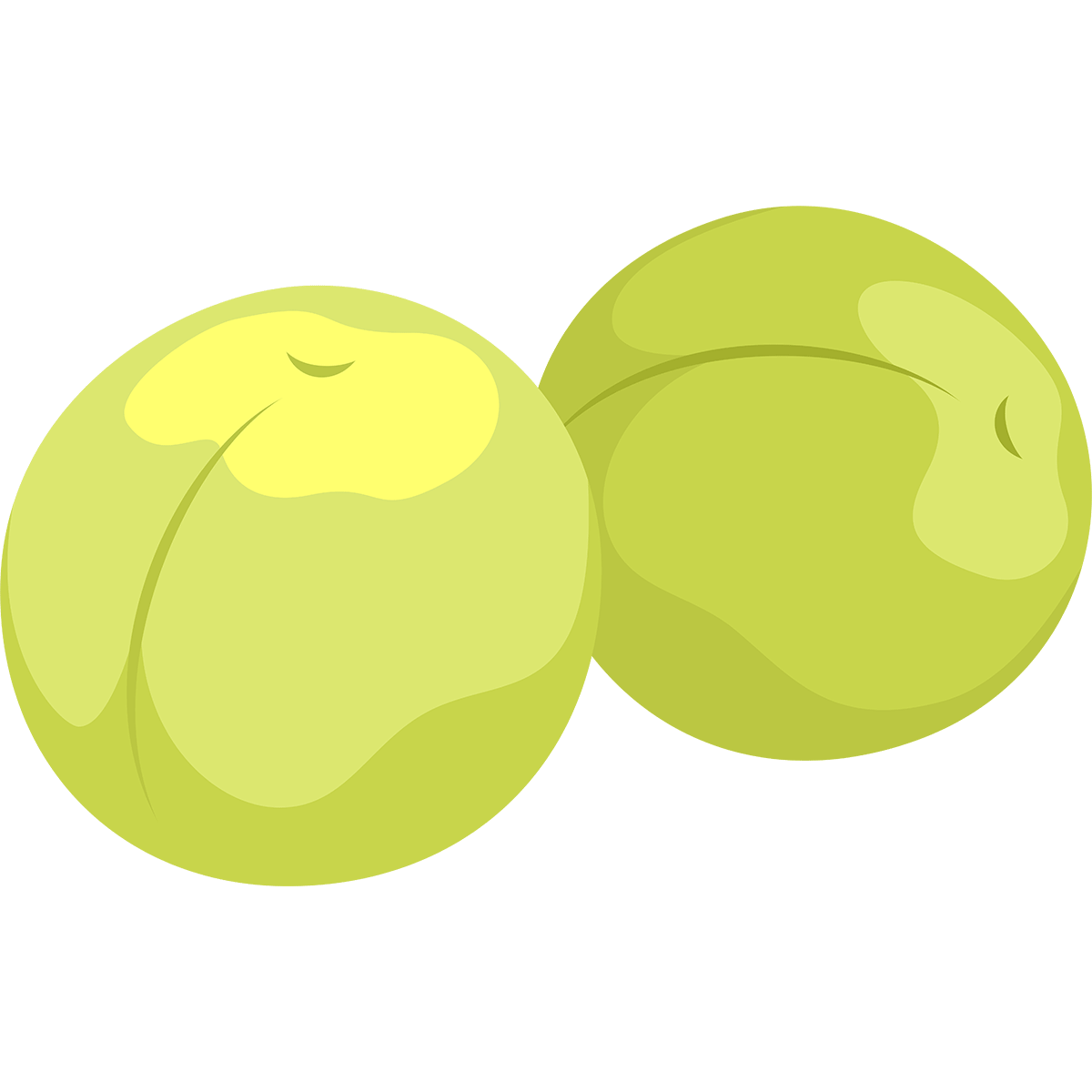 果肉赤い梅 露茜 の収穫始まる みなべ町 紀伊民報 忙人用 農業ニュースまとめ のまとめ