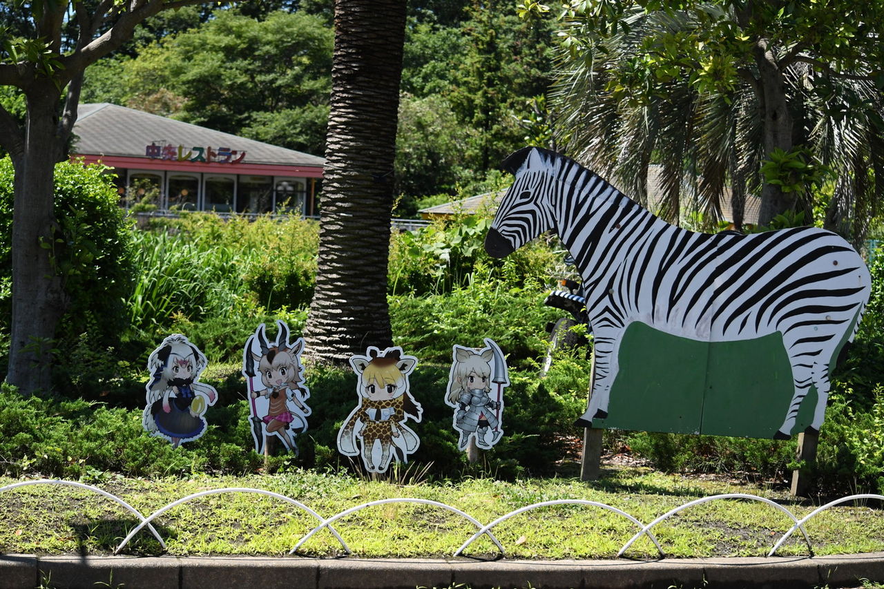 東武動物公園を求めて 脳汁を求めて 東武動物公園を求めて 脳汁を求めて