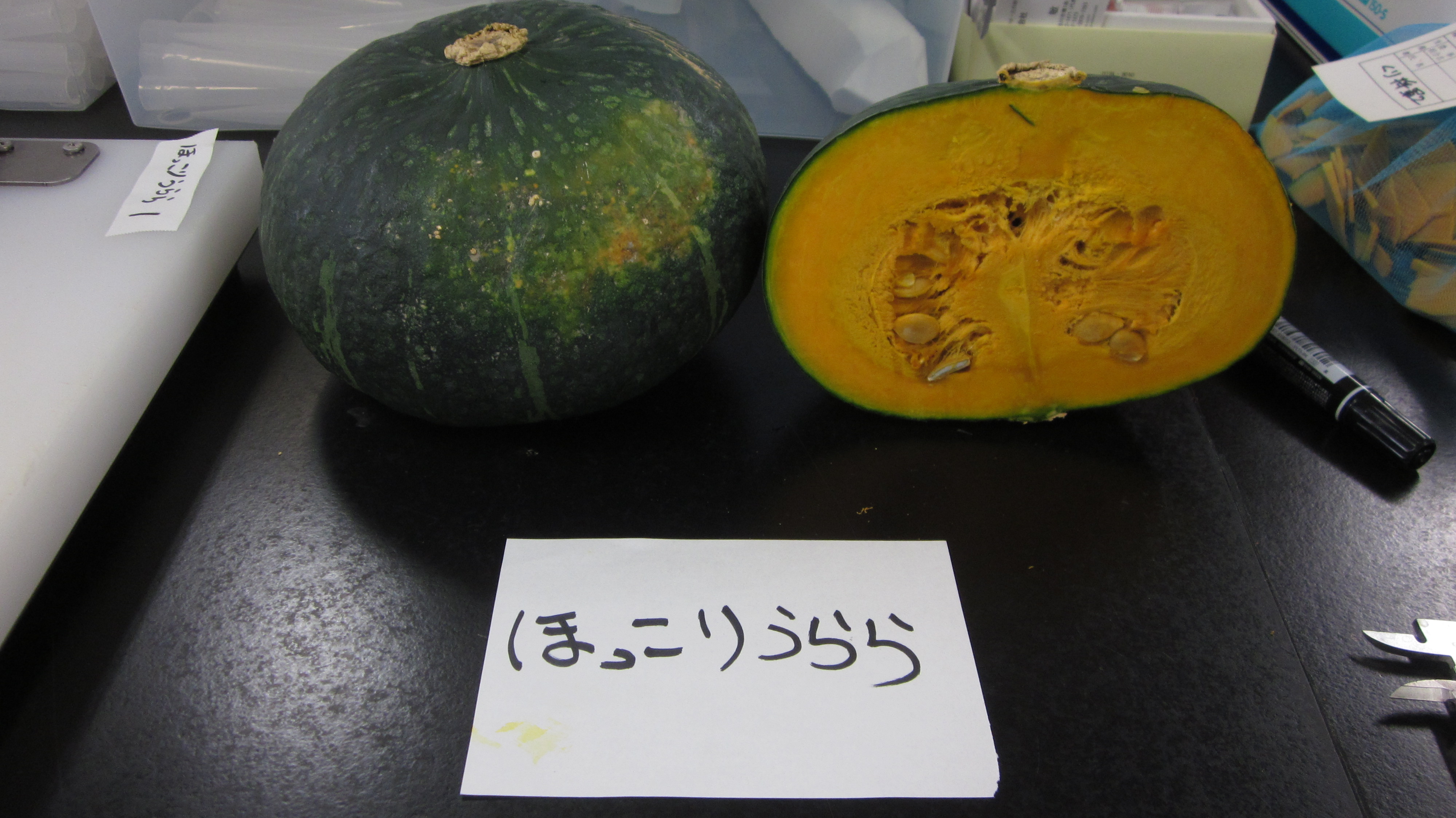 かぼちゃ食味試験 和寒町農業活性化センターblog