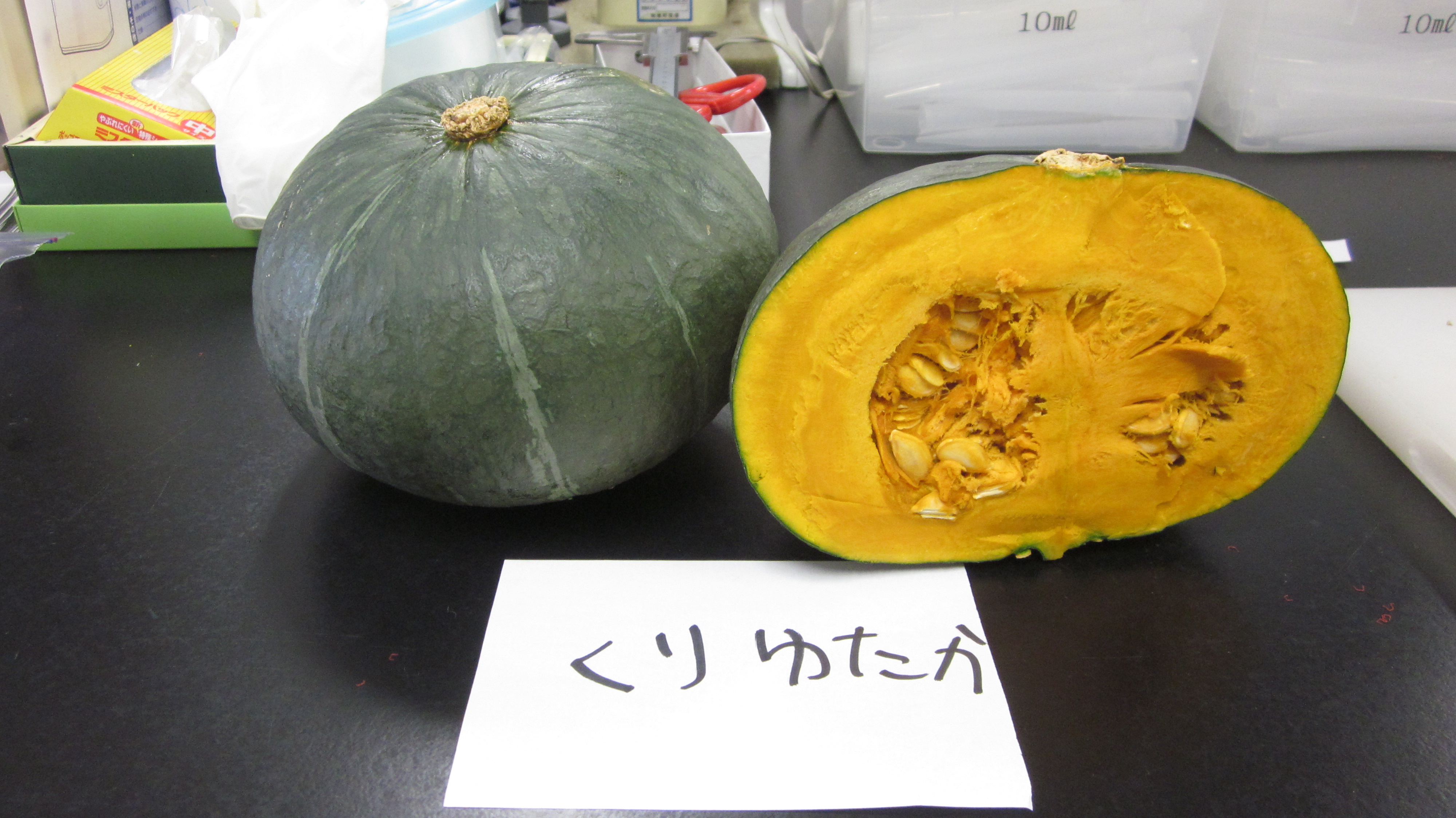 かぼちゃ食味試験 和寒町農業活性化センターblog