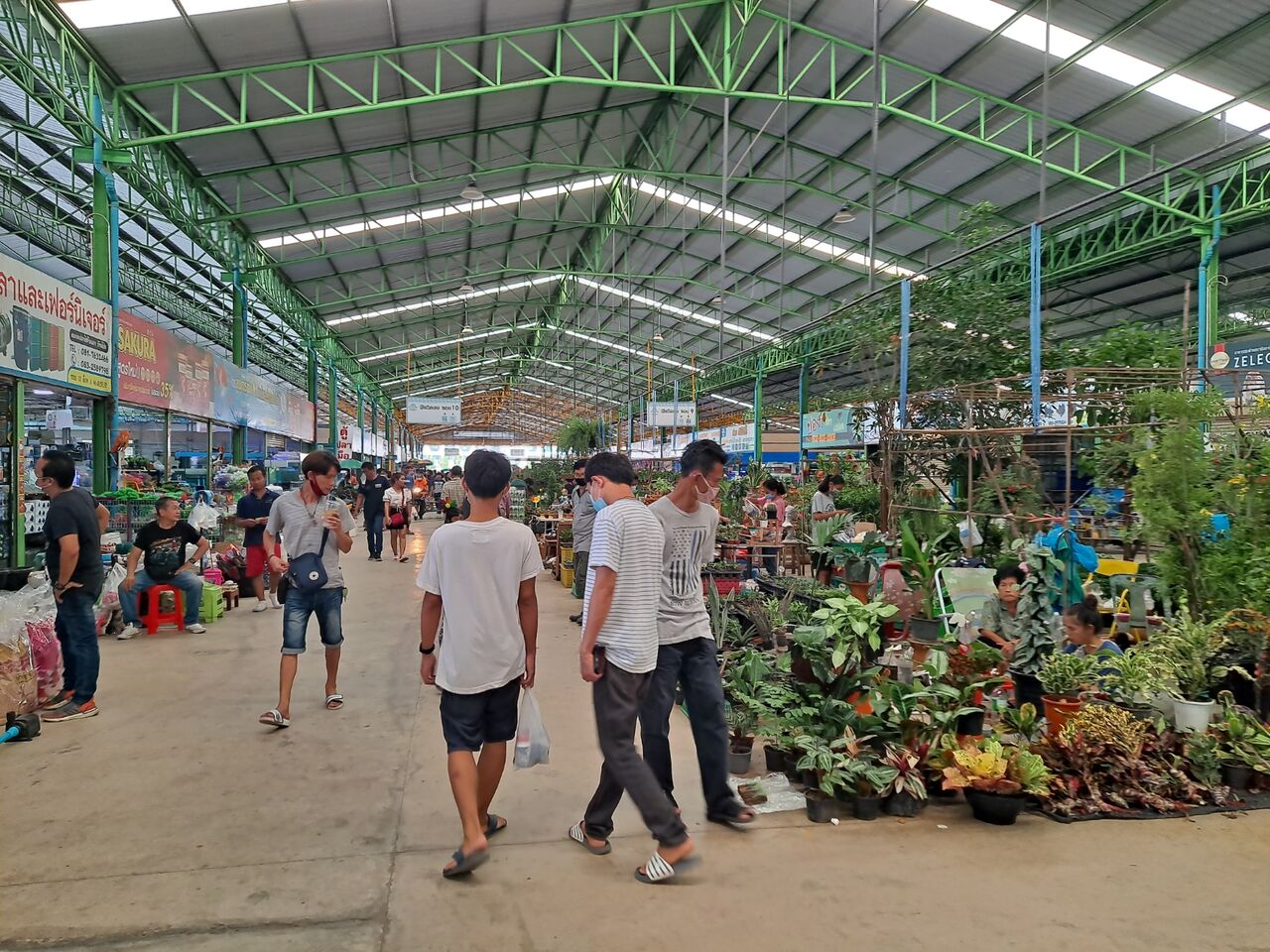 タイ最大級の熱帯魚市場を訪問 農タイ生活の備忘録 タイ最大級の熱帯魚市場を訪問 農タイ生活の備忘録