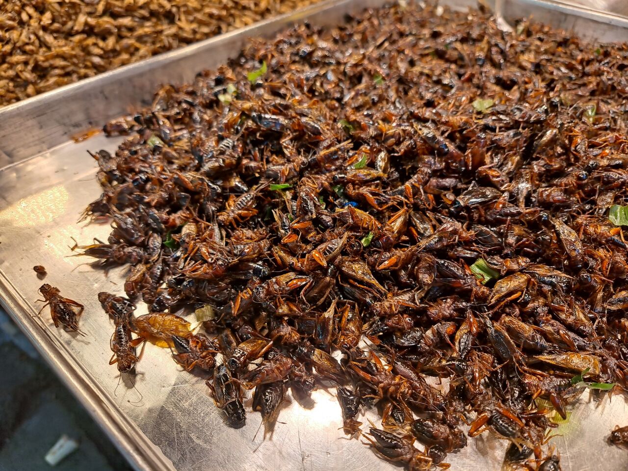 タイの食文化 タイの昆虫食ならコオロギがオススメ 農タイ生活の備忘録
