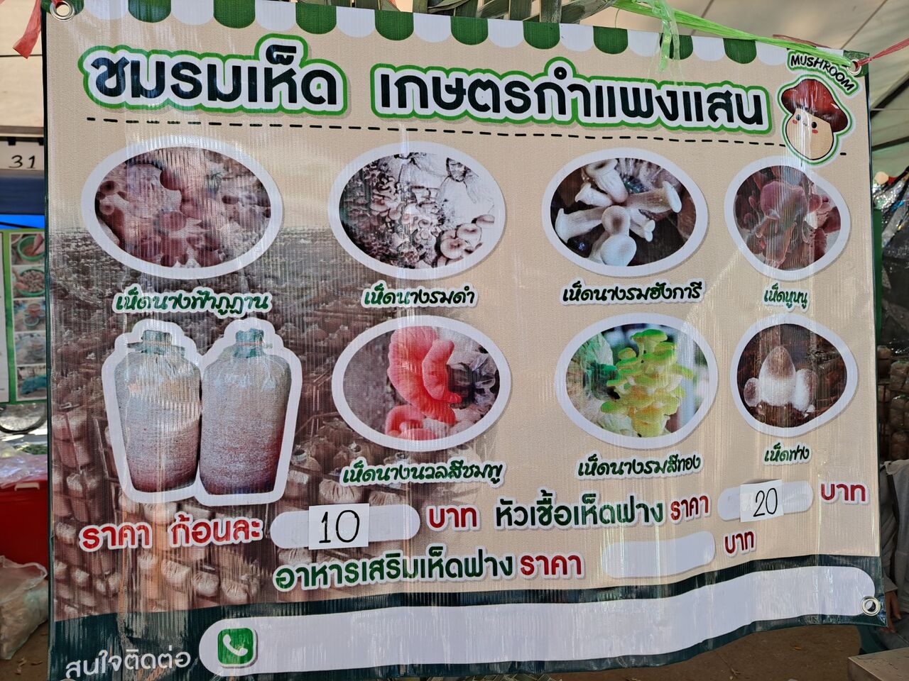 タイでキノコ栽培に挑戦 農タイ生活の備忘録 タイでキノコ栽培に挑戦 農タイ生活の備忘録