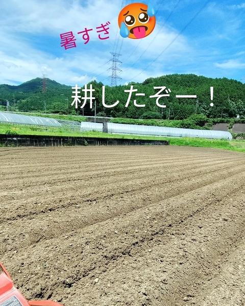 IMG_20230717_140224_363