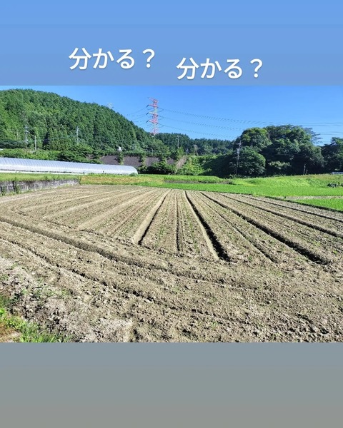 IMG_20230725_105315_132