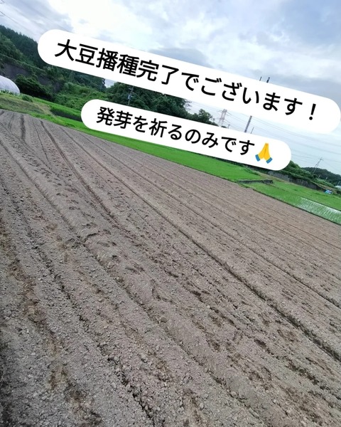 IMG_20230718_213245_303