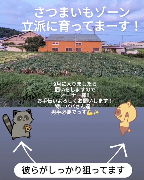 IMG_20220825_203249_251