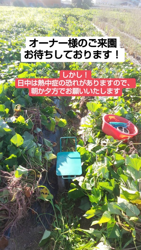 IMG_20210720_075818_751