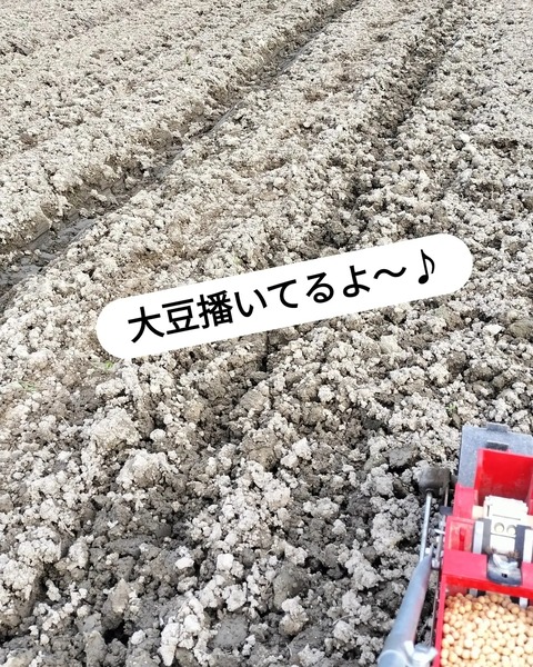 IMG_20230718_213245_096