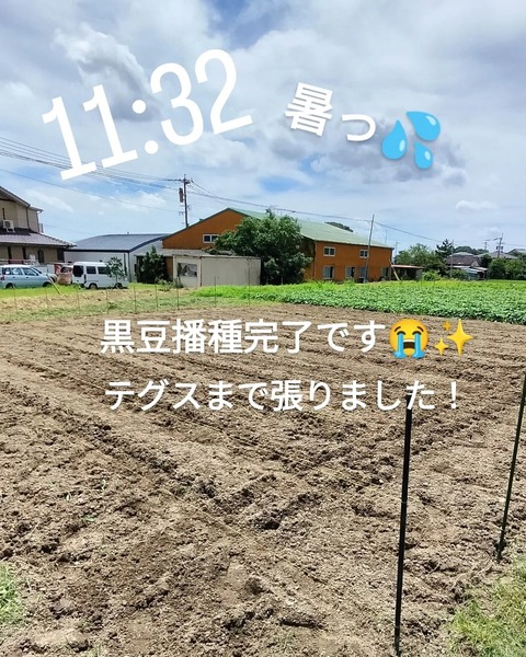 IMG_20230718_122324_811