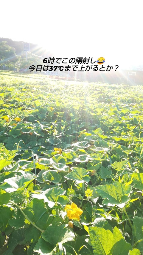 IMG_20210720_075753_631