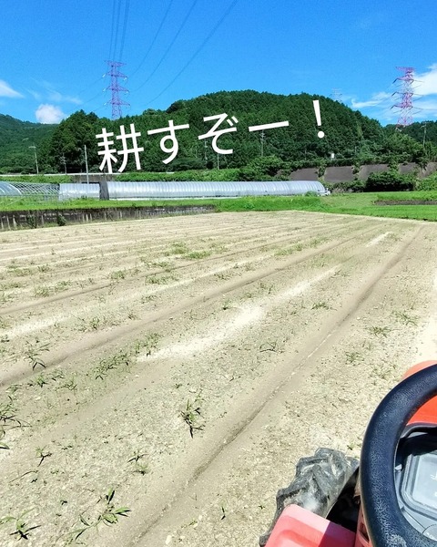 IMG_20230717_140224_158