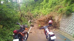 �����̵����