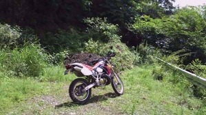 ��̵����