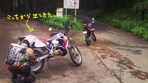 �Ի׵Ĥ�ƻϩ��