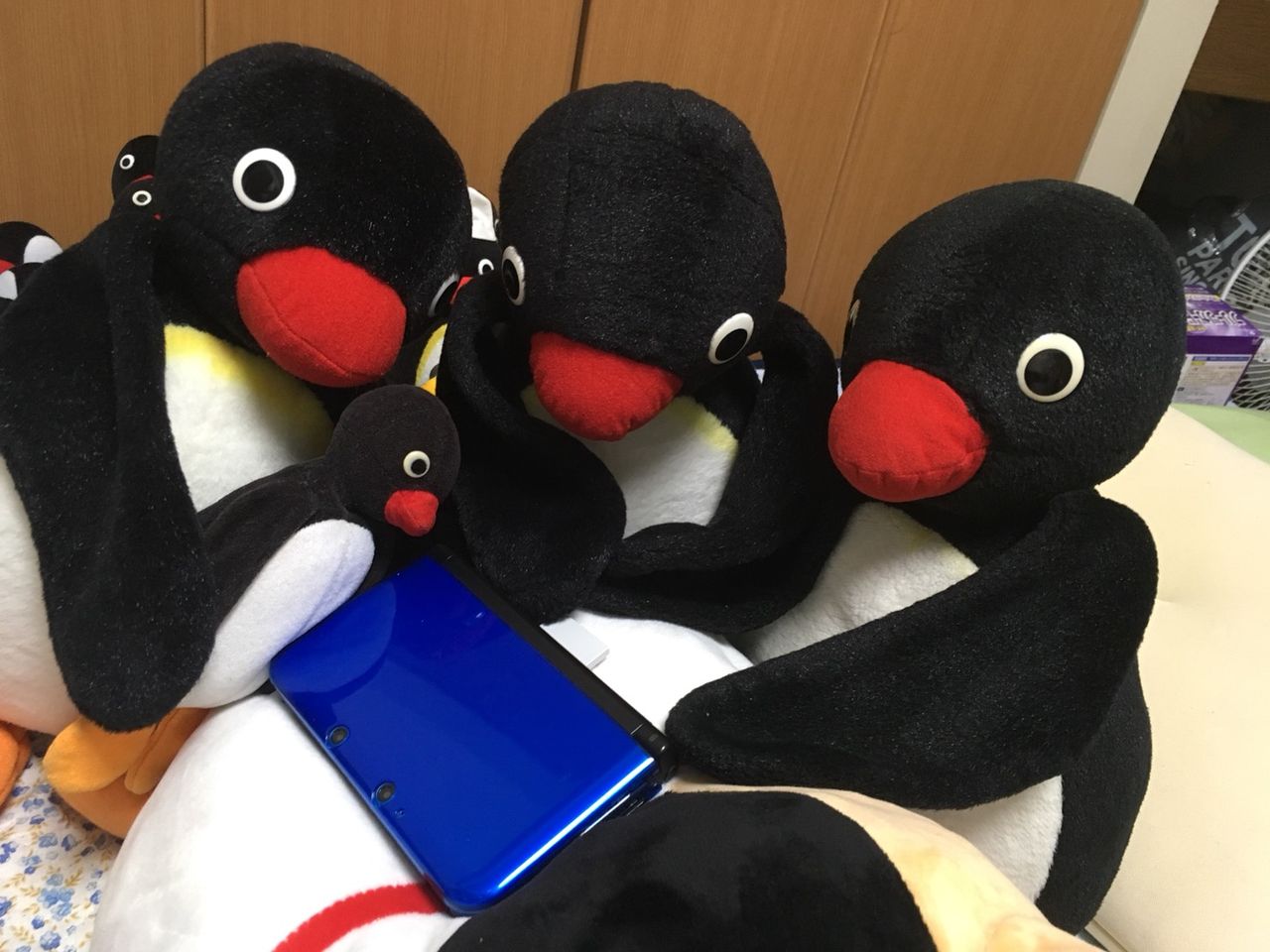 ピングーさんポケモン ソフト を買う ピングーコーポレーション