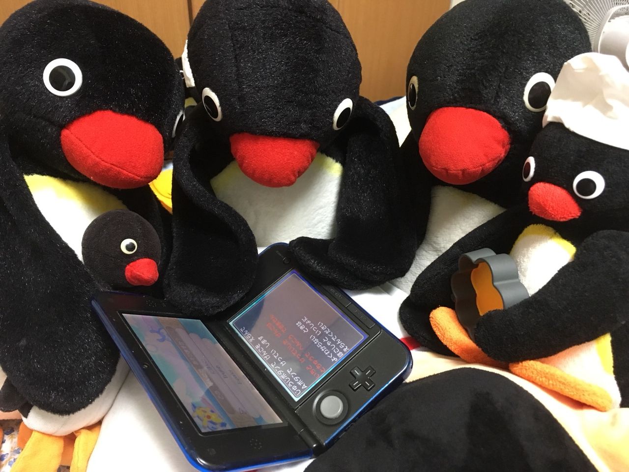 ピングーさんポケモン ソフト を買う ピングーコーポレーション ピングーさんポケモン ソフト を買う ピングーコーポレーション