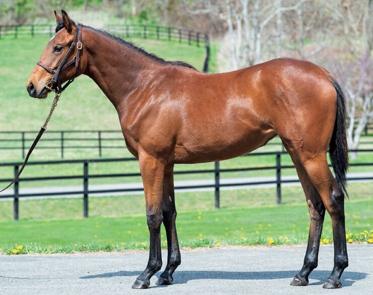 ねこパンチの一口馬主カテゴリ:ユニオンオーナーズクラブユニオンオーナーズクラブ2022年度1歳募集馬「33.ティックルピンクの21」ユニオンオーナーズクラブ2022年度1歳募集馬「32.ラブディランの21」ユニオンオーナーズクラブ2022年度1歳募集馬「31.ホーカーハリケーンの21」ユニオンオーナーズクラブ2022年度1歳募集馬「30.ブラーノの21」ユニオンオーナーズクラブ2022年度1歳募集馬「29.ゴールドコインの21」