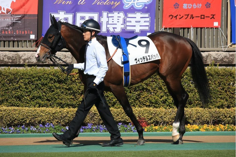 Pog クラブ注目馬 ヴィッテルスバッハが3歳500万下を快勝 ねこパンチの一口馬主