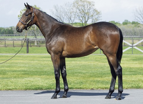 0009