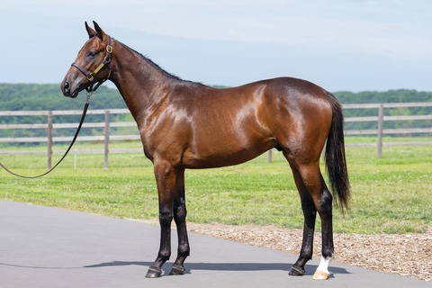 25-08_アルベルティーヌ24