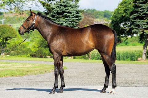 25-14_カラヴェッラ24