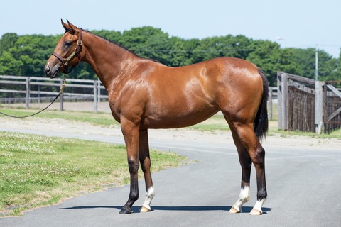 25-17_ヴィニー24