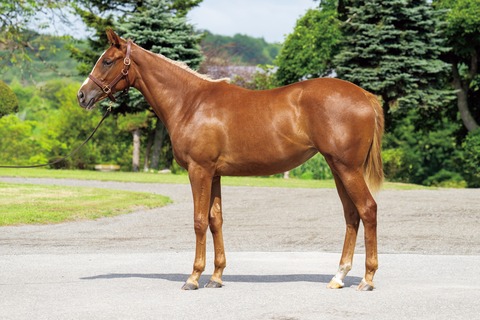 25-16_ムーンライトベイ24