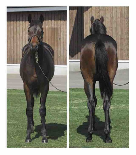 FullSizeRender