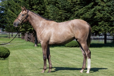 25-21_プロディシー24