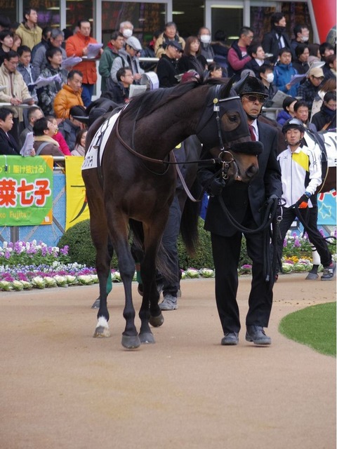 3ff21b252018122582629ec127a9518c