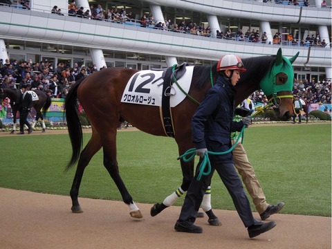 9f617f0420191882629ec11fb5b174