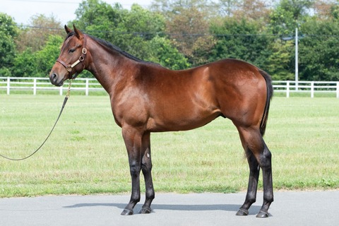 25-05_ハウナニ24