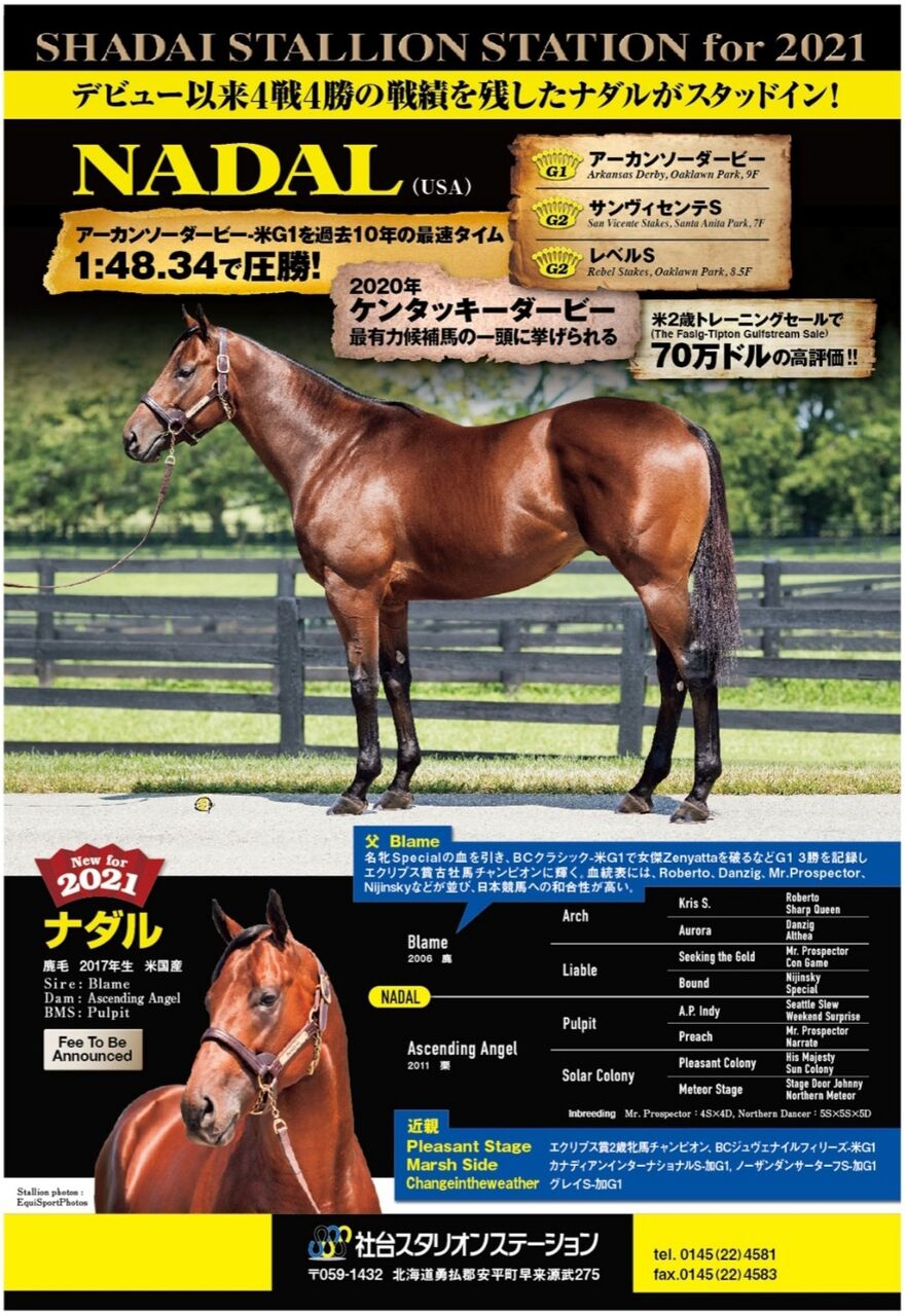 社台スタリオンステーションがアーカンソーダービー馬 Nadal ナダル を導入 ねこパンチの一口馬主