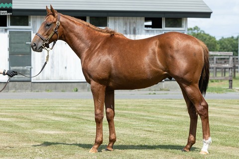 ダウンロード (1)