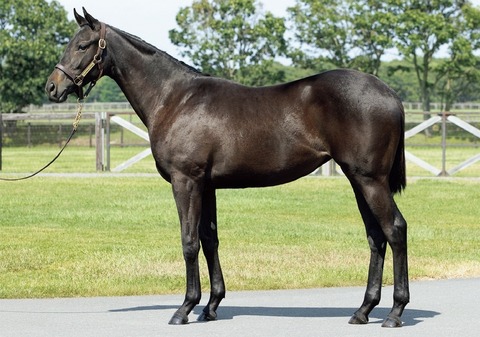 yoko_24084