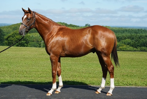 78f9f60f-4dad-518b-a552-047ec84e41e1