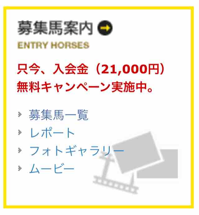 サラブレッドクラブライオン17年1歳募集馬 ヒカルウェイブの16 ねこパンチの一口馬主