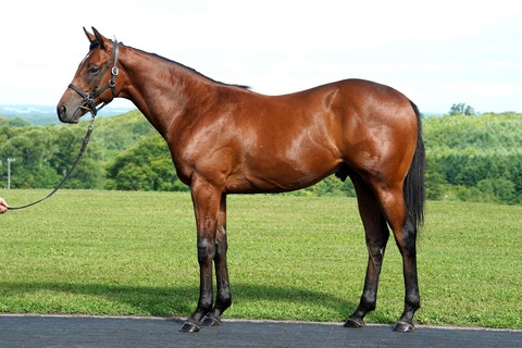 330fa3ff-05e8-5494-9036-c30df1fd4e77