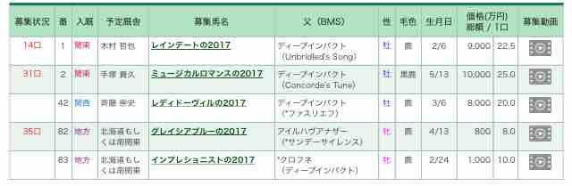 キャロットクラブ18年度1歳馬 2次募集 残口がある募集馬は僅か5頭 ねこパンチの一口馬主