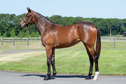 25-19_ヒャッカリョウラン24