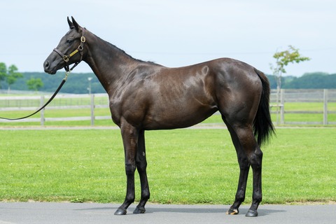 25-13_ライラヌール24