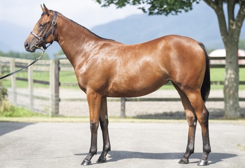 EllePaind_Or23_side_20240804