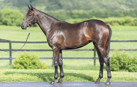 YuiFille23_side_20240807